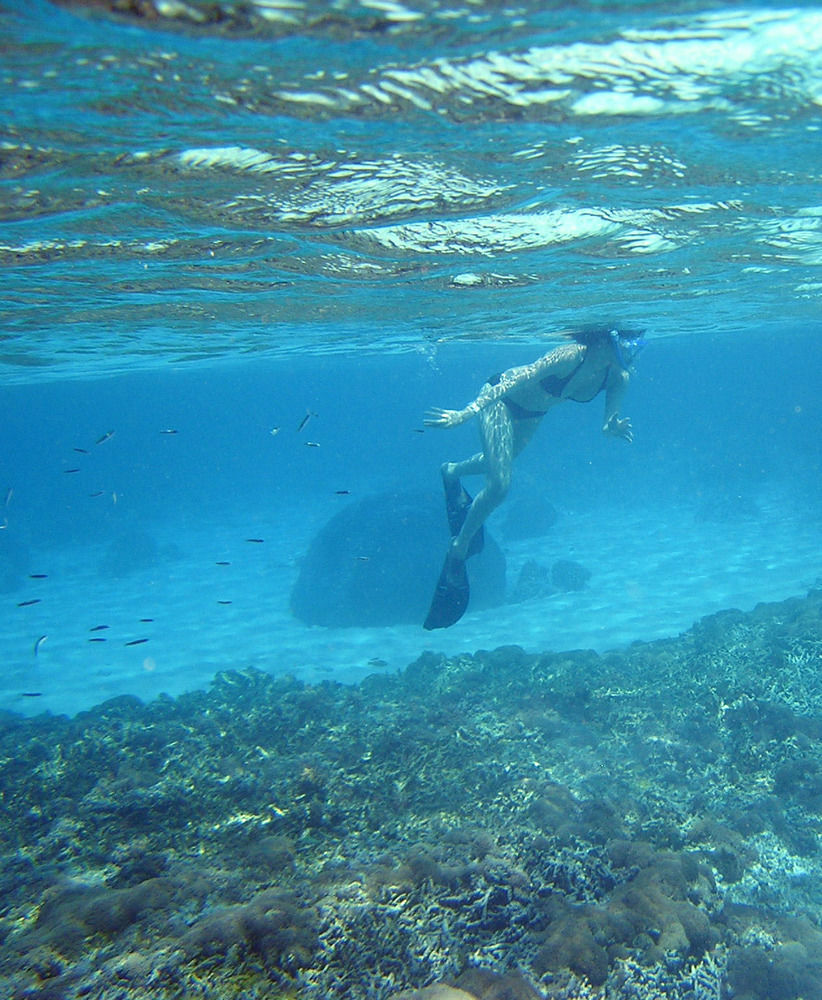 North Borneo Biostation Resort Kudat Ngoại thất bức ảnh